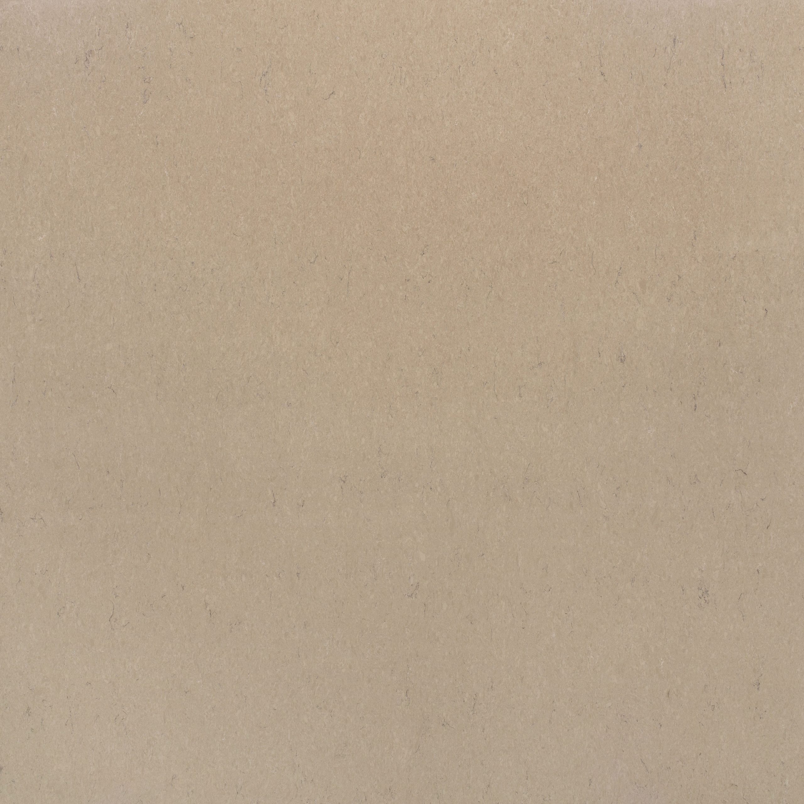 Boletus Mutfak Tezgahı